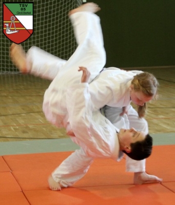 Judo Prüfung 2013_13